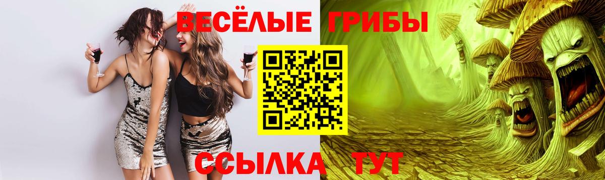 Псилоцибиновые грибы GOLDEN TEACHER  Псилоцибиновые грибы Cubensis  Моздок  Вход с VPN 